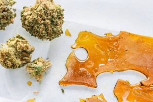Frosted Cream Puffs Strain – A Sweet and Uplifting Sativa at Hash Online Canada