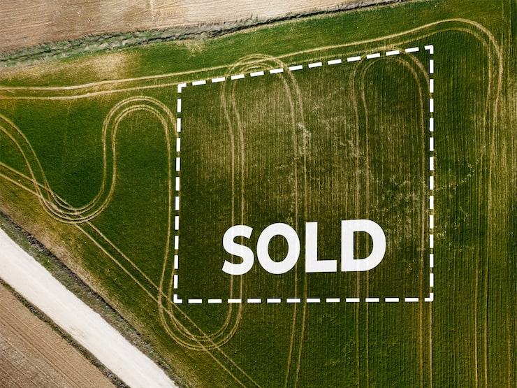 Best Land Investment Courses for Building Real Long-Term Income