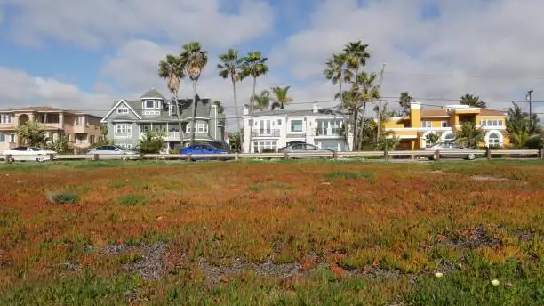 How Carlsbad Homeowners Create Multi-Use Backyards for Entertainment