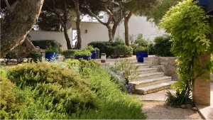 Garden Step Ideas for Sloped Yards and Level Changes
